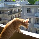 ��� ���,�����?... �� ������� ���� �������� � ������ �����...�