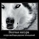 ���� �����, ������, 40 ��� - ��������� 27 ���� 2013 � ������ ���� ����������