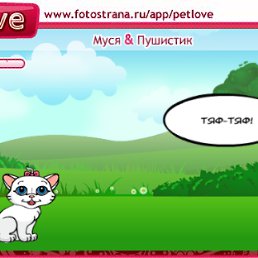 ���� ����, �����-��������, 34 ���� - ��������� 14 ������ 2010
