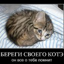 ���� �����k� ������, ����������, 49 ��� - ��������� 6 ���� 2011 � ������ �Demativators�