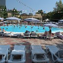 ���� ������, ���������, 37 ��� - ��������� 8 ������� 2012 � ������ �������