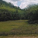 ���� ������, ��������, 41 ��� - ��������� 17 ����� 2012 � ������ ����-�����