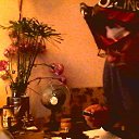 ���� Anatol, ��������, 74 ���� - ��������� 9 ������� 2013 � ������ ���� ����������