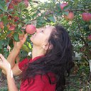  ,  , 58  -  25  2012    