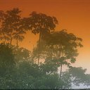  ,  , 33  -  28  2010