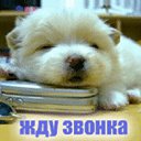  Artem, , 44  -  2  2012   