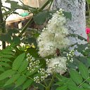  **** , , 64  -  14  2011    20011