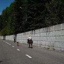 ���� ��� �����, �����������, 50 ��� - ��������� 2 ���� 2009 � ������ ������� �����