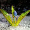 ���� ��������, �����, 33 ���� - ��������� 10 ������� 2010 � ������ �������