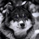 ���� ����, ����������� - ��������� 30 ���� 2012