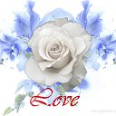 ���� ����@, �������, 50 ��� - ��������� 29 ������ 2011 � ������ ���� ������