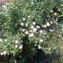 �������� ��������� � �����������, ��� 2013 �. �� ������� ���� ����������