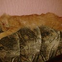  Piratka,  -  9  2012    