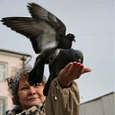 ���� ������, ������, 67 ��� - ��������� 13 ����� 2011 � ������ ���� ������ � ��