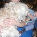 ���� �����, ����, 62 ���� - ��������� 20 ��� 2011 � ������ ���� ������