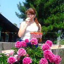 ���� ��������, ��������, 55 ��� - ��������� 26 ���� 2012 � ������ ���� ����������