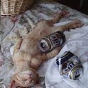 ���� Goga, ��������, 86 ��� - ��������� 27 ��� 2009