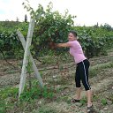 ���� �������, �����-���������, 44 ���� - ��������� 9 ����� 2012 � ������ ���� ����������