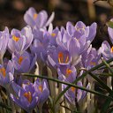 ���� �����, �������������, 25 ��� - ��������� 28 ���� 2013 � ������ ������������. ������� ��������� ����������� 2010.�