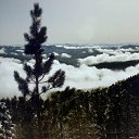  ,  , 33  -  28  2010   