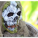 ���� ������, ������ - ��������� 10 ������� 2013 � ������ �Carnaval 2013 by Anja Wessels�