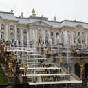 ���� ����, �����-���������, 52 ���� - ��������� 20 ������ 2010 � ������ ���� ����������