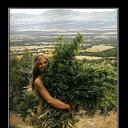  , , 49  -  25  2011   -