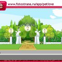 ���� ����, �������� - ��������� 10 �������� 2010