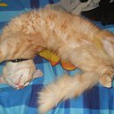 ���� �������, �����, 57 ��� - ��������� 2 ���� 2013 � ������ ����� ��� ������������