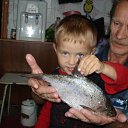 ���� �����, �����, 44 ���� - ��������� 12 ������ 2012 � ������ �������