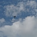 ���� ��������, �����-���������, 37 ��� - ��������� 9 ������� 2012 � ������ ������ ����� �����