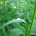 ���� �����, ��������, 45 ��� - ��������� 3 ������� 2010 � ������ ����� �������