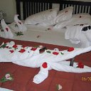 ���� Tefa, ����, 44 ���� - ��������� 29 ��� 2013 � ������ ���� ����������