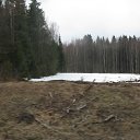 ���� ������, �����-���������, 68 ��� - ��������� 25 ������ 2010 � ������ ���������� 24 �������