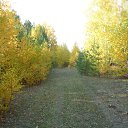 ���� �������, ������, 71 ��� - ��������� 17 ������ 2013