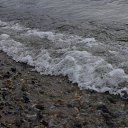 ���� ��������, �����������, 46 ��� - ��������� 28 ������� 2009 � ������ �������