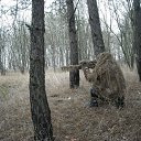 ���� ������, ��������, 53 ���� - ��������� 26 ������ 2012