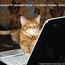   ( -        ,  -  25  2011   