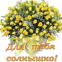    88., , 64  -  1  2013    ̻
