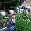 ���� �������, ������, 43 ���� - ��������� 6 ���� 2013 � ������ ���� ����������