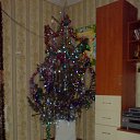 ���� �����, ����, 37 ��� - ��������� 3 ������ 2010 � ������ �������