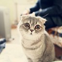 ���� ����, ���������, 28 ��� - ��������� 25 �������� 2012 � ������ ������ ��������