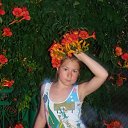 ���� �������, ����������� - ��������� 31 ��� 2009 � ������ ���� ����������