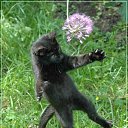 ���� ������, ���������, 24 ���� - ��������� 26 ������ 2012 � ������ ���� ����������