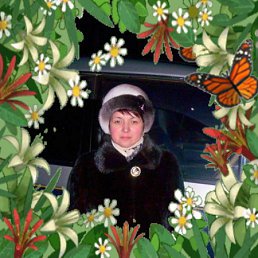 �����, �����, 62 ����