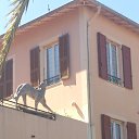 ����� � ������� Saint Jean Cap Ferrat,Nice �� ������� �������,��������