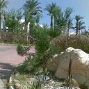 ���� ���������, �������, 45 ��� - ��������� 22 ������ 2012 � ������ �������