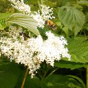 ���� ������, �����������, 60 ��� - ��������� 25 ������ 2012 � ������ ���� ����������