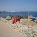 ���� Inga, ������ - ��������� 10 ������ 2012 � ������ ���� ����������