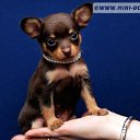 ���� �����, ���� - ��������� 25 ������� 2013 � ������ ���� ������ ������� �����, ��� ������ �������� ������)))�